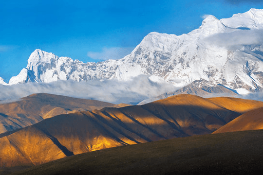 Sommets himalayens enneigés au-dessus de collines dorées